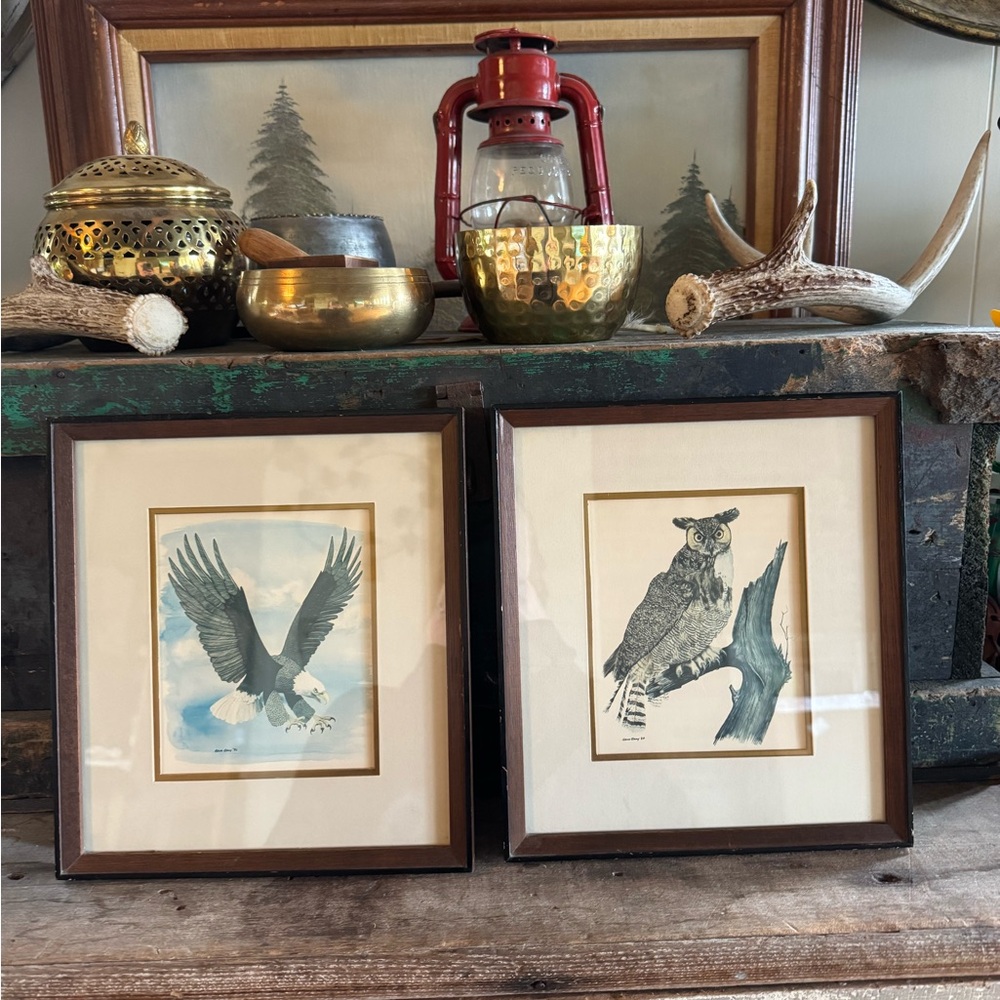 Framed Eagle and Owl Art Prints